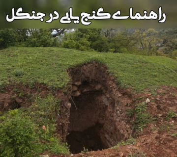 علائم وجود گنج در جنگل