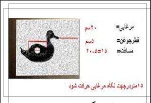 نماد اردک در دفینه یابی