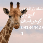 نشانه زرافه در گنج‌یابی