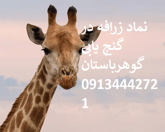 نشانه زرافه در گنج‌یابی