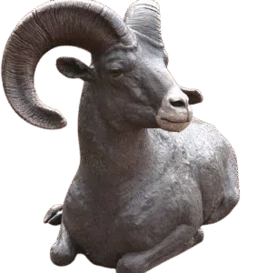 نماد قوچ در گنج یابی